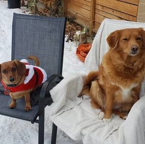 Meet your Posher, Leanne